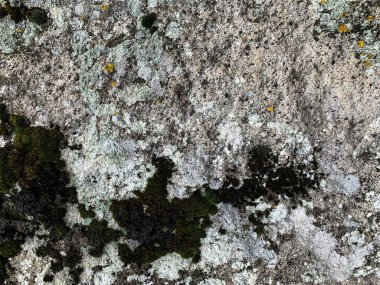 Dağ kayası arka planı. Taş zemin