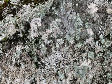 Dağ kayası arka planı. Taş zemin