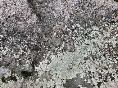 Dağ kayası arka planı. Taş zemin