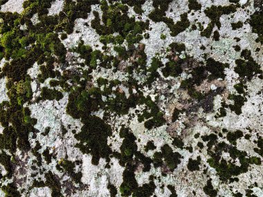 Dağ kayası arka planı. Taş zemin