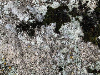 Dağ kayası arka planı. Taş zemin