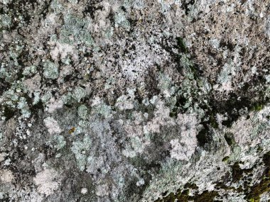 Dağ kayası arka planı. Taş zemin