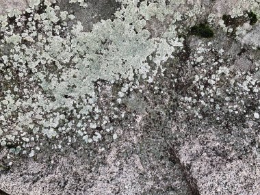 Dağ kayası arka planı. Taş zemin