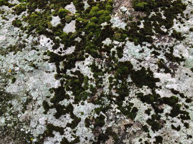 Dağ kayası arka planı. Taş zemin