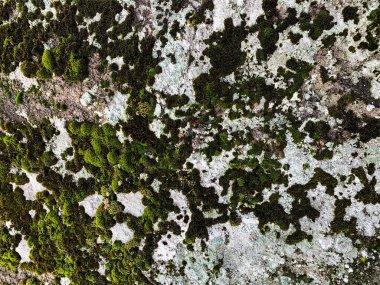 Dağ kayası arka planı. Taş zemin