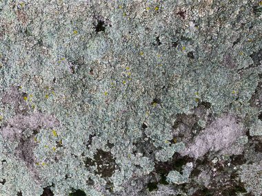 Dağ kayası arka planı. Taş zemin