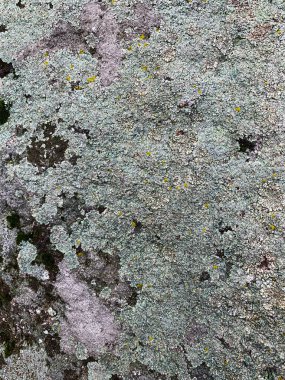 Dağ kayası arka planı. Taş zemin