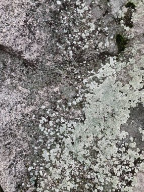 Dağ kayası arka planı. Taş zemin