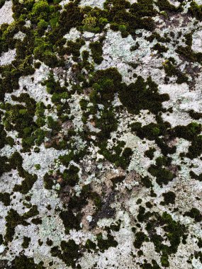 Dağ kayası arka planı. Taş zemin