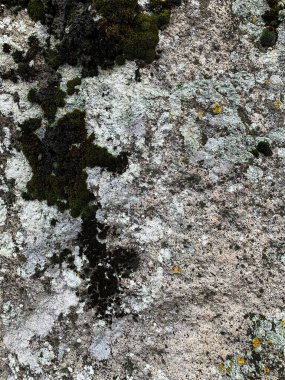 Dağ kayası arka planı. Taş zemin