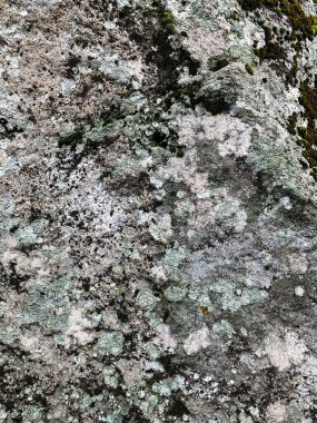 Dağ kayası arka planı. Taş zemin