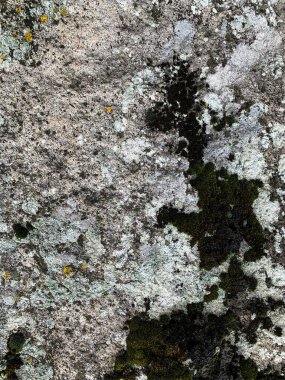 Dağ kayası arka planı. Taş zemin