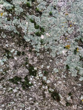 Dağ kayası arka planı. Taş zemin