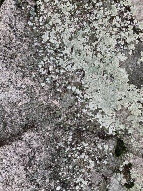 Dağ kayası arka planı. Taş zemin