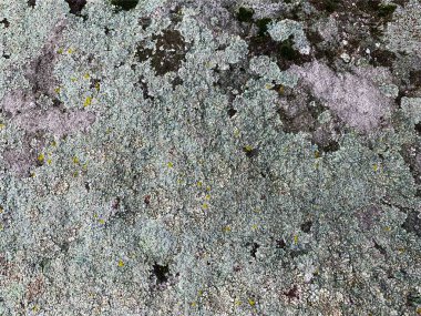 Dağ kayası arka planı. Taş zemin