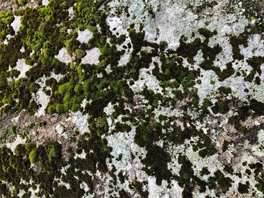 Dağ kayası arka planı. Taş zemin