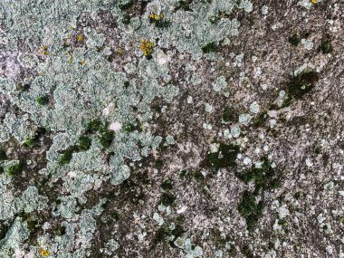 Dağ kayası arka planı. Taş zemin