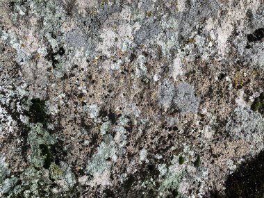 Dağ kayası arka planı. Taş zemin