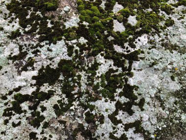 Dağ kayası arka planı. Taş zemin