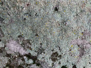 Dağ kayası arka planı. Taş zemin