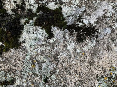 Dağ kayası arka planı. Taş zemin