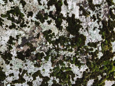 Dağ kayası arka planı. Taş zemin