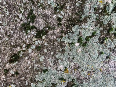 Dağ kayası arka planı. Taş zemin