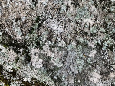 Dağ kayası arka planı. Taş zemin