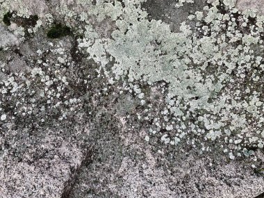 Dağ kayası arka planı. Taş zemin