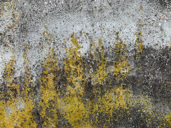 Beton duvar arka planı. Çimento dokusu