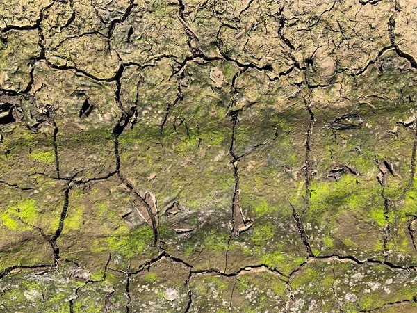 Çatlak duvar kâğıdı. Arkaplan