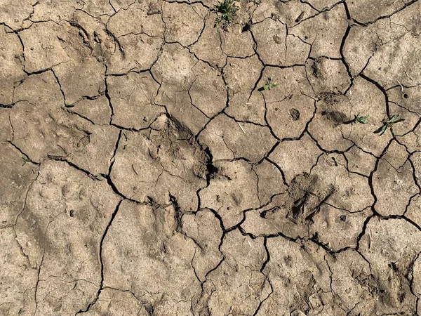 Çatlak duvar kâğıdı. Arkaplan