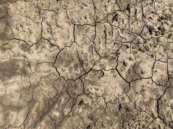 Cracked Earth Wallpaper Backdrop — стоковое фото