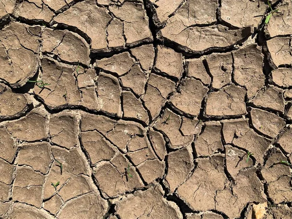 Carta Parati Terra Incrinato Sullo Sfondo — Foto Stock