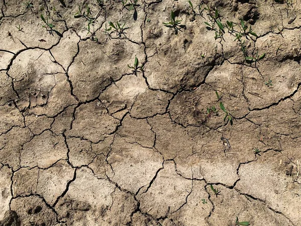 Çatlak duvar kâğıdı. Arkaplan