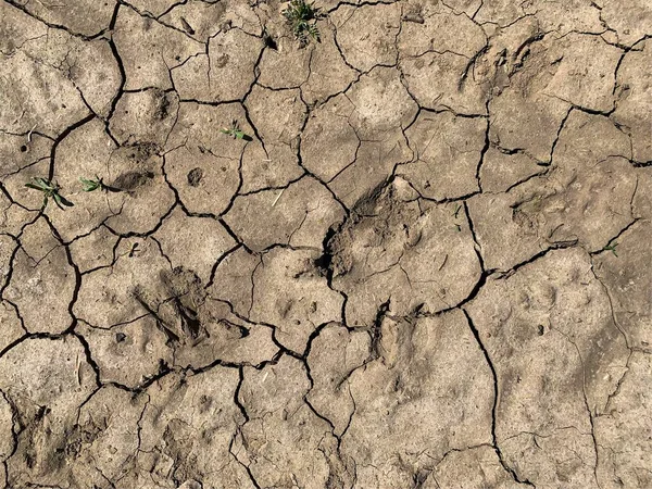 Çatlak duvar kâğıdı. Arkaplan