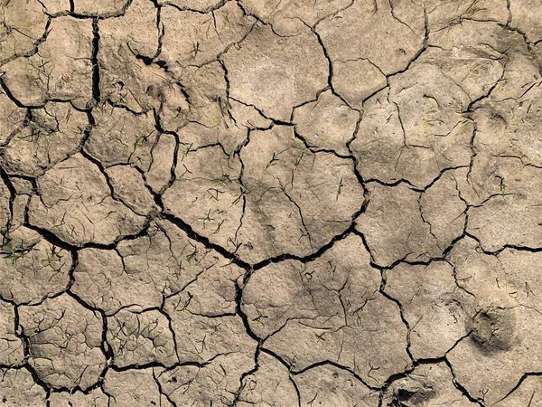 Carta Parati Terra Incrinato Sullo Sfondo — Foto Stock