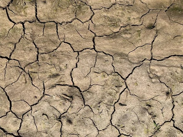 Cracked Earth Wallpaper Backdrop — Stock Photo, Image