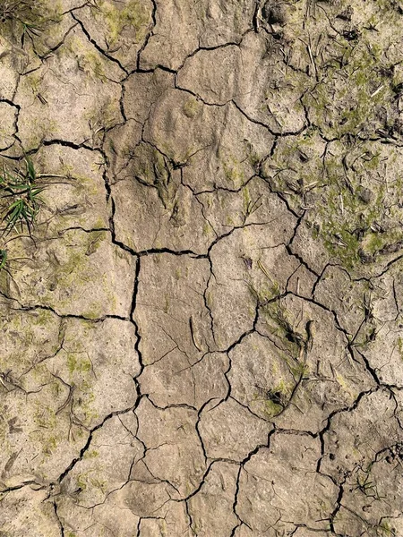 Fondo Pantalla Tierra Agrietado Contexto — Foto de Stock