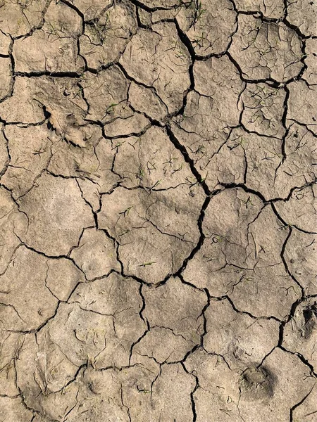 Papel Parede Terra Rachada Contexto — Fotografia de Stock