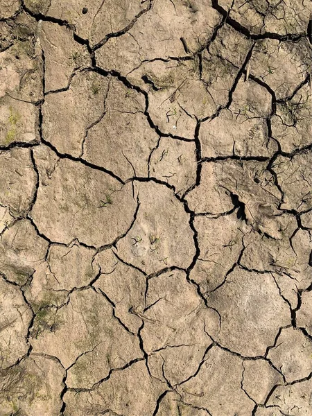 Cracked Earth Wallpaper Backdrop — 스톡 사진