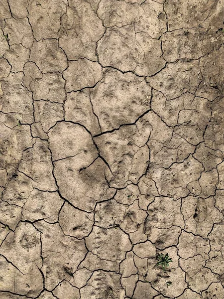 Cracked Earth Wallpaper Backdrop — 스톡 사진