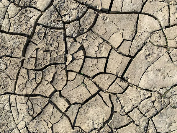 Çatlak Duvar Kâğıdı Arkaplan — Stok fotoğraf