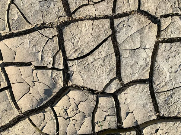 Cracked Earth Wallpaper Backdrop — 스톡 사진