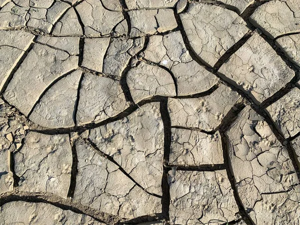 Fondo Pantalla Tierra Agrietado Contexto —  Fotos de Stock