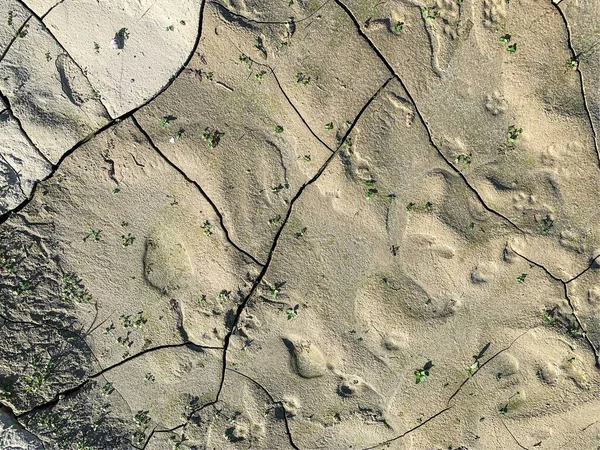 Çatlak duvar kâğıdı. Arkaplan