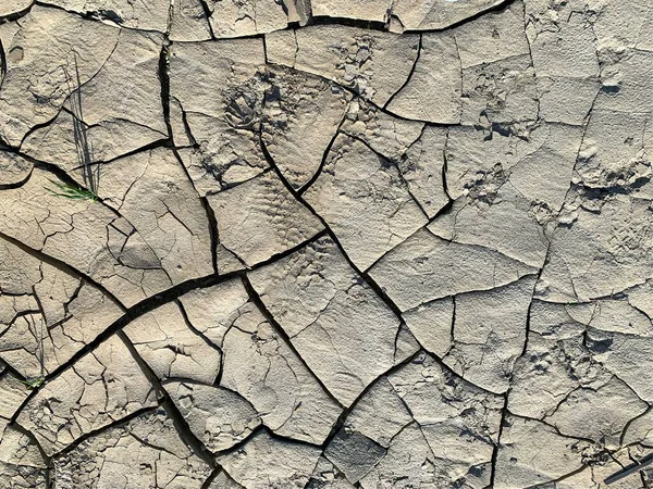 Cracked Earth Wallpaper Backdrop — ストック写真