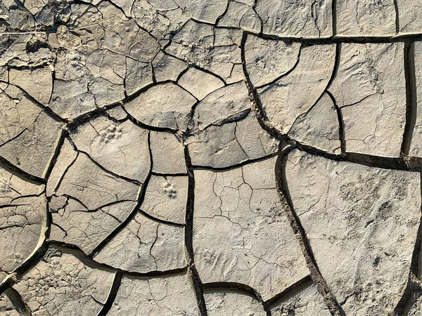 Fondo Pantalla Tierra Agrietado Contexto — Foto de Stock