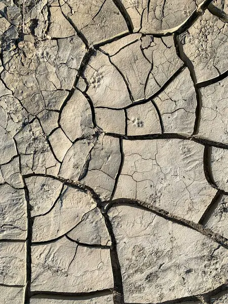 Cracked Earth Wallpaper Backdrop — ストック写真
