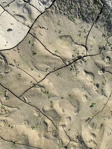 Çatlak duvar kâğıdı. Arkaplan